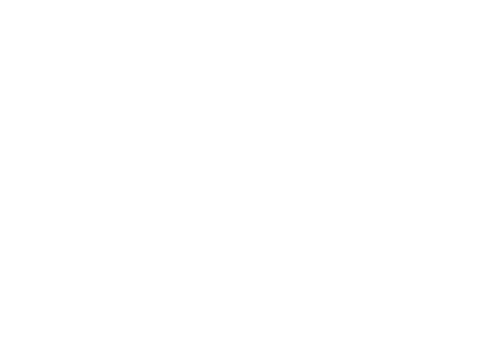 Client - V&B Fest