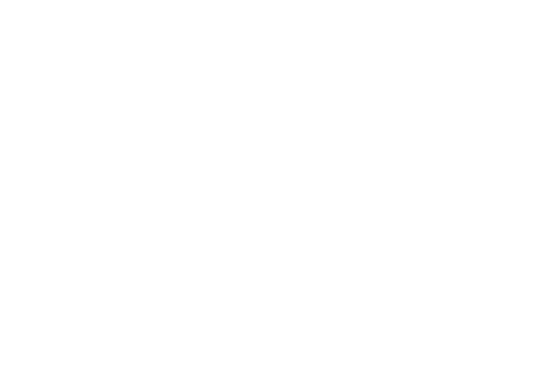 znproduction_logo_white